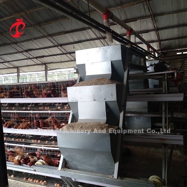 Sistem Kandang Baterai Ayam Petelur 96 Burung Broiler Ketahanan Korosi Tahan Lama Emily