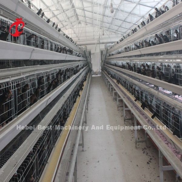 Hot Galvanized Kandang Lapisan Sistem Minum Otomatis Jenis Di Peternakan Adela