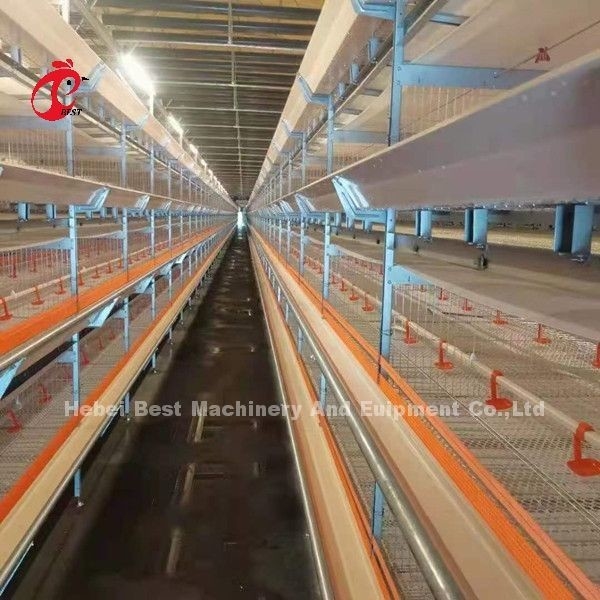 Best Galvanized 3 Tiers 96 Bird Layer Battery Cage System In Kenya Peternakan Mia