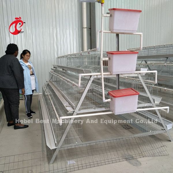 Tipe A Ayam 128 burung Ayam Ayam Sistem Kandang Baterai Hot Dip Galvanized Untuk Nigeria Farm Doris