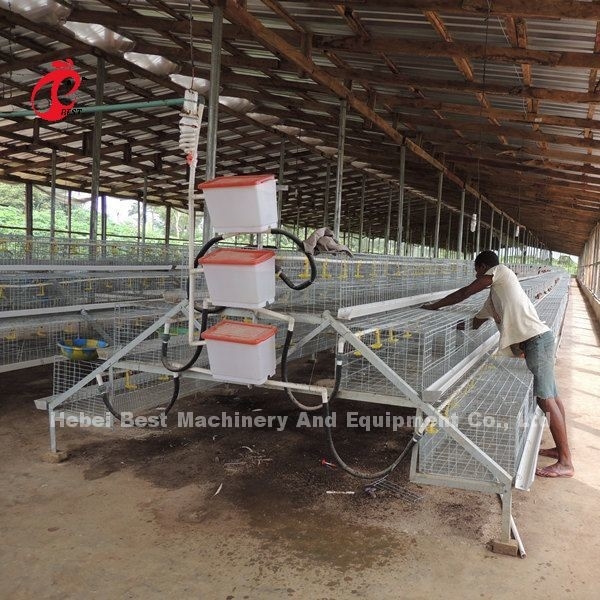 CE A Type 120 Birds Chick Rearing Cage Dengan Bintang Peminum Dan Pengumpan
