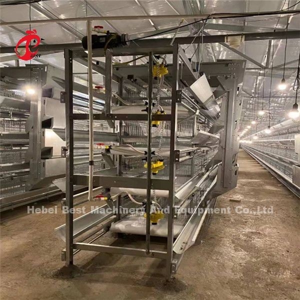 H Tipe 4 Tingkat Sistem Kandang Broiler Peternakan Unggas Dengan Sabuk Kotoran Ada