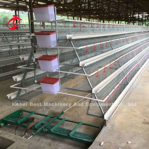 Set Lengkap Peralatan Penghapus Kotoran Scraper Otomatis Baja Karbon Untuk Bintang Rumah Ayam