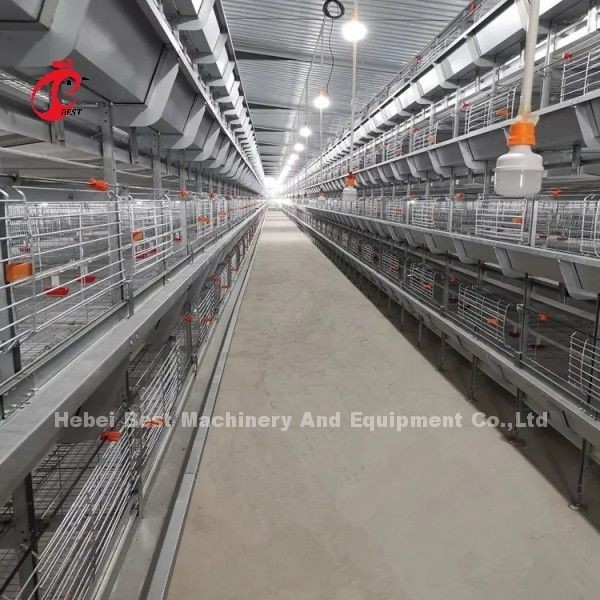 Pembersihan manual Kandang Brooders Otomatis Jenis H Metal Untuk Ayam Adela