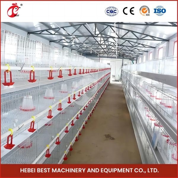 Hot Galvanized Pullet Otomatis Baby Chick Brooder Cage 192 Burung 1,2m Panjang Mia