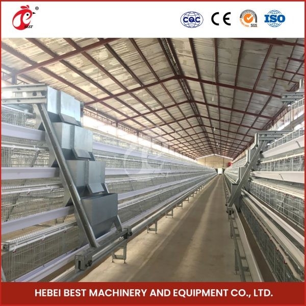 A Atau H Type 4 Tier 160 Birds Layer Kandang Baterai Ayam Untuk Produksi Telur Sandy