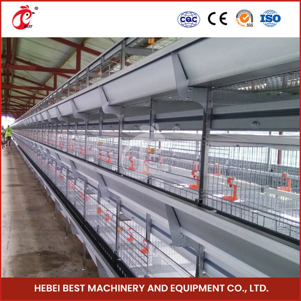 Full Automatic System Pullet Cage Dengan Hot Deep Galvanization H Type Shape Emily