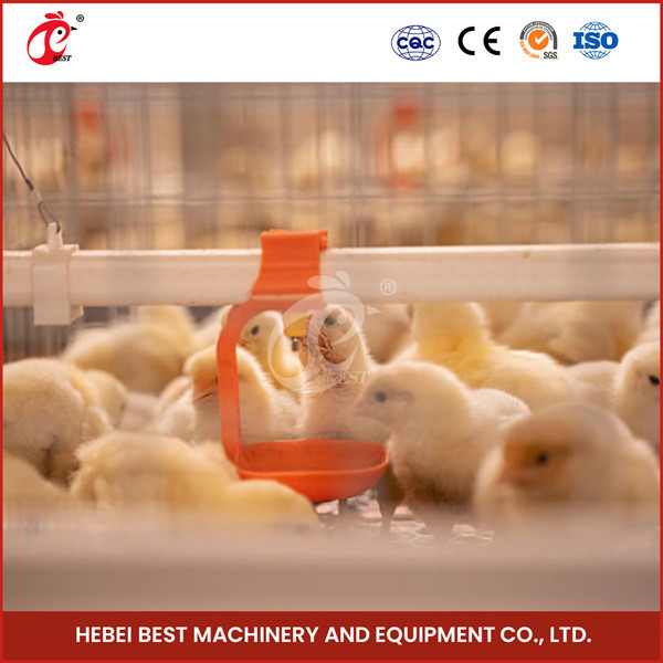 Automated Pullet Baby Battery Chick Brooder Cage Untuk Day Old Layer Grower Chicks Rose