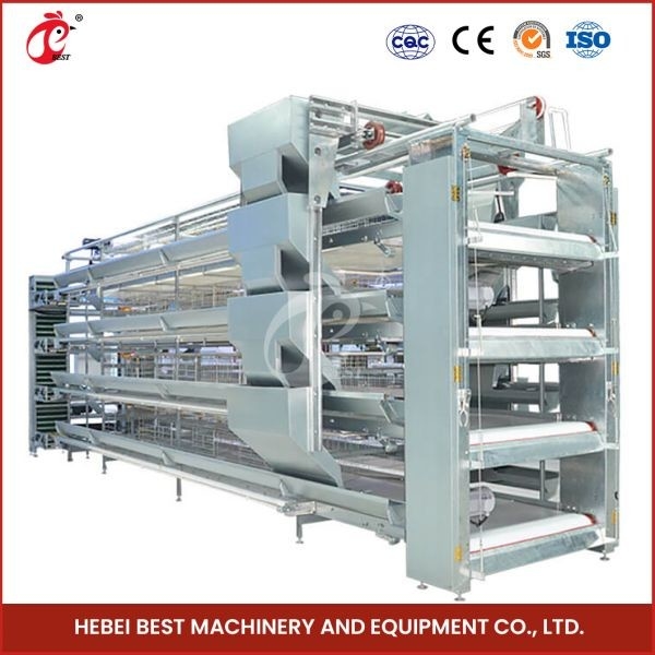 H Type 30000 Birds Kandang Ayam Lapisan Telur Otomatis Dengan Conveyor Belt Kotoran Ada