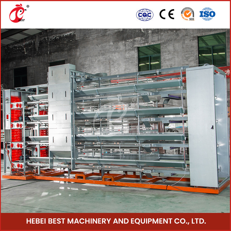 H Tipe 25 Tahun Masa Pakai Hot Dip Galvanized Automatic Layer Cage System Iris