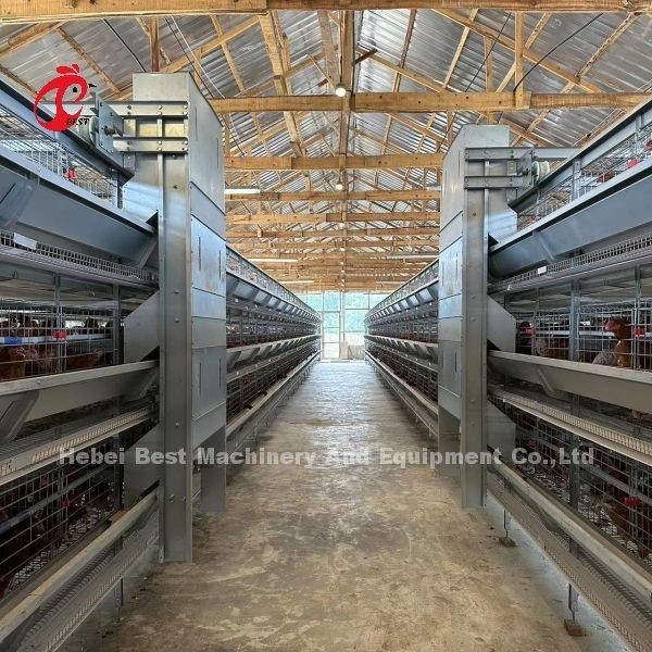 Stacked Poultry 128 Birds Battery Breeding Cage Emily
