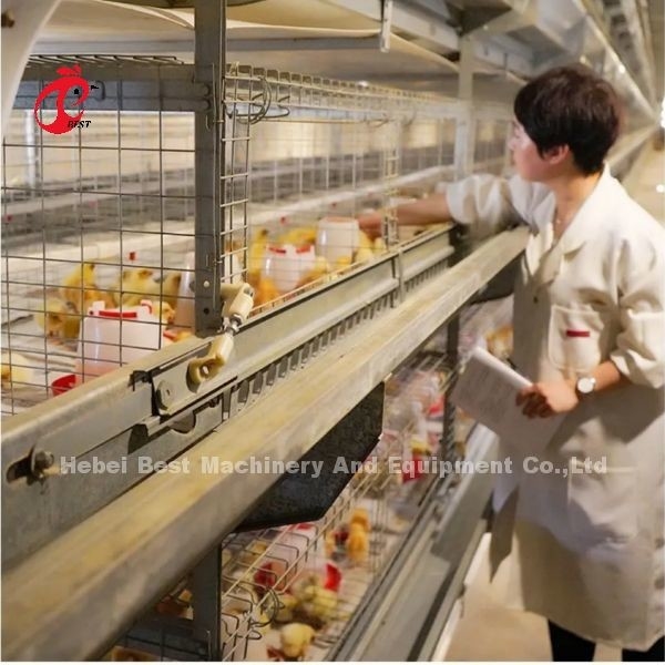 Jenis Murah Hot Dip Lapisan Kandang Kambing Peternakan Unggas Lapisan Kandang Untuk Jual Adela
