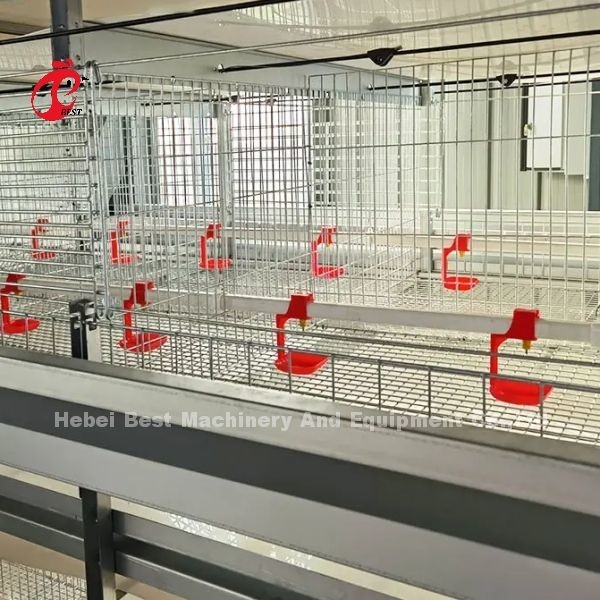 Q235 Steel Stronger Wire Broiler Cage 1.5m By 2.2m By 1.75m Adela