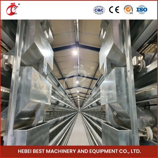 Hot Galvanized H Type Broiler Cage Perhiasan Perhiasan Perak Untuk Peternakan Unggas