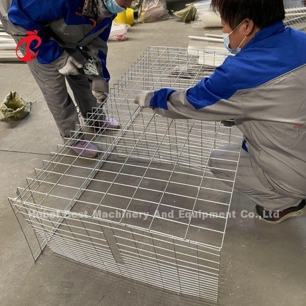 A atau H Jenis Broiler Chicken Cage Untuk Peternakan Unggas Doris