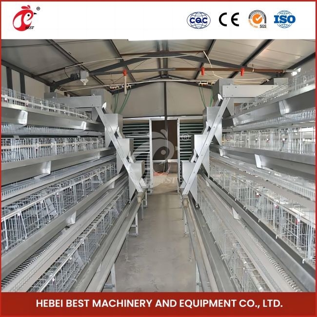 96 Burung H Tipe Otomatis Chicken Chick Cage / A Tipe Broiler Chicken Cage Dengan Pintu Geser Rose