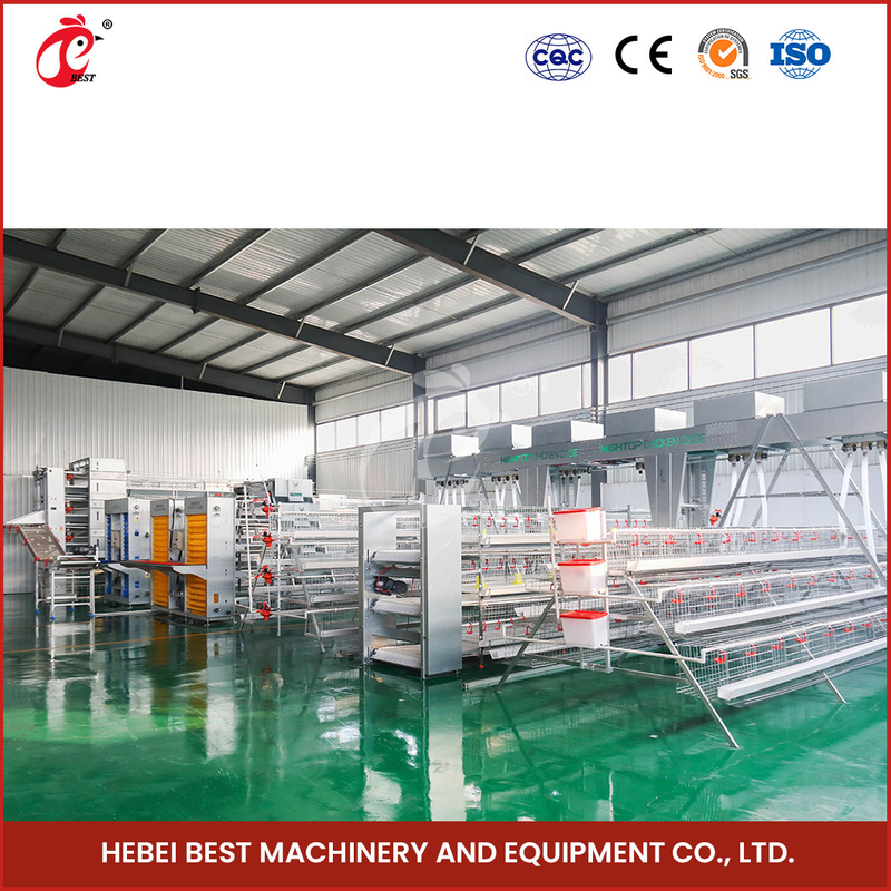 Hot Deep Galvanized Brooder Cage untuk anak ayam Produksi unggas berkelanjutan