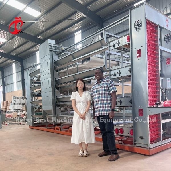 Hot Deep Galvanized Broiler Cage System 25 Tahun Jangka Hidup Untuk Menumbuhkan Ayam Emily Wang