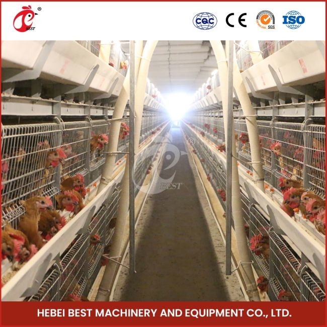 12 Sel A Tipe Broiler Chicken Cage Dengan 3 Tingkat Fast Shipping Mia