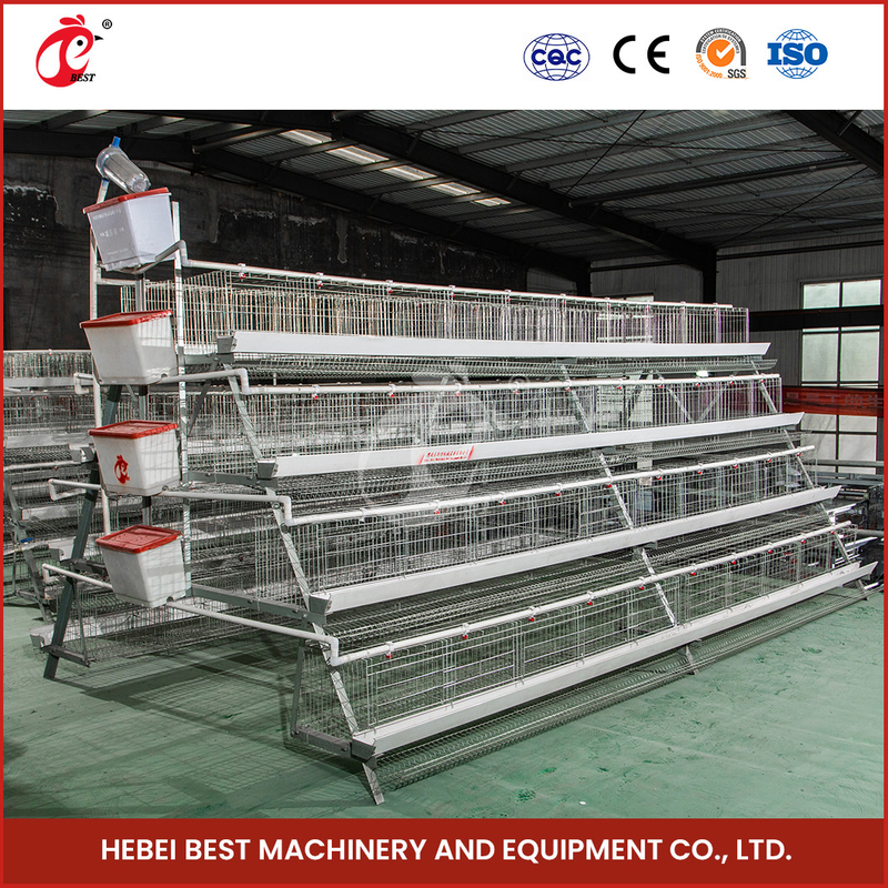 120 Chicken Wire Mesh Cage Dengan Nipple Drinker Dan Cage Kapasitas 120 Star