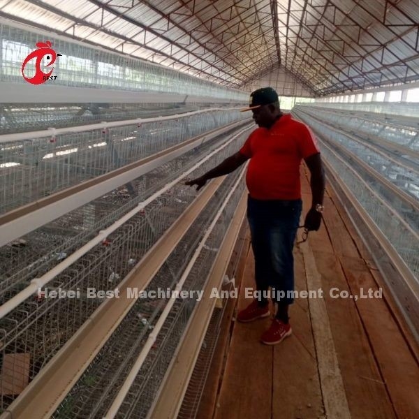 96-200 Burung Kapasitas Layer Putih Kandang di Nigeria Hot Dip Galvanized Steel Star
