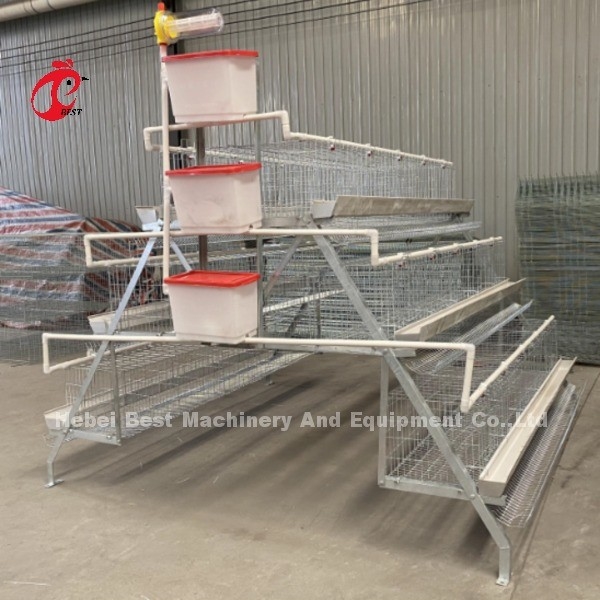 Customized Galvanized Steel A Tipe Unggas Lapisan Kandang Untuk Point Of Lay Sandy