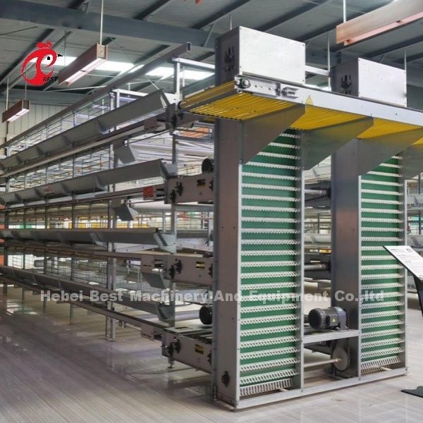 Sistem Kandang Unggas Modular Untuk Layer Farms Hot Dip Galvanized Baterai Kandang Kapasitas 96-200 Burung Sandy