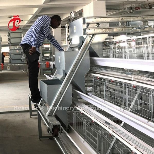 Sistem Kandang Baterai Lapisan Atas Untuk Peternakan Ayam 96-200 Burung Konstruksi Kawat Robust Iris