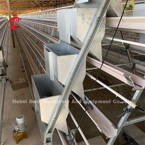 Afrika Hot Galvanized 4 Tiers Ayam Lapisan Baterai Kandang 25 Tahun Umur Dijual Untuk Lapisan Peternakan Emily