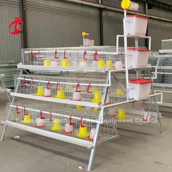 Peternakan Unggas Premium Tipe A Kandang Ayam Pullet Baterai Kandang Induk Ayam Iris