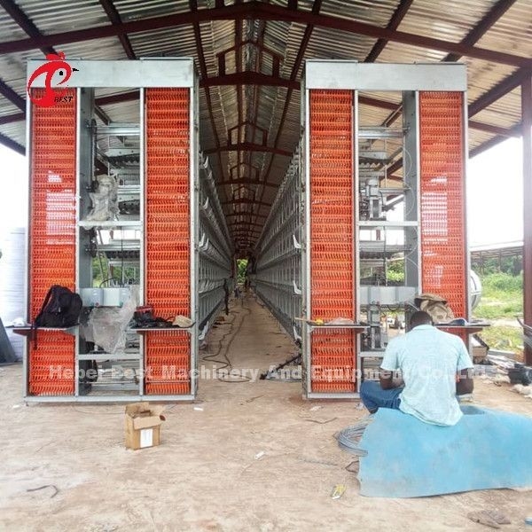 A H type Automatic Layer Unggas Peralatan Peternak Sistem Kandang Ayam Sandy