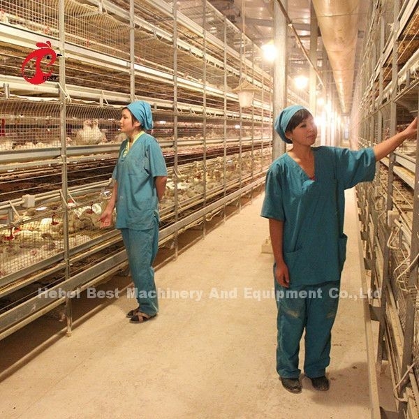 Desain Modern Baterai Lapisan Kandang Tipe H Kandang Peternakan Unggas ISO14001 Emily
