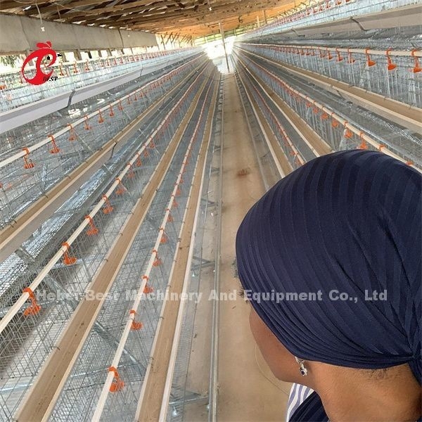 A Type Manual Egg Laying Hens Kandang Ayam Emily