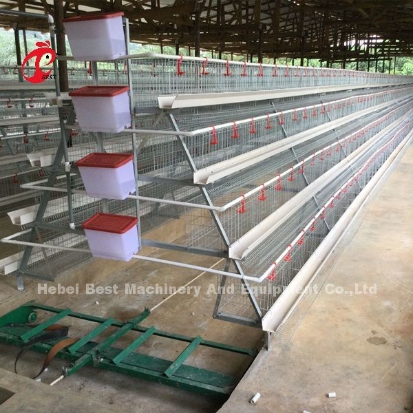 Harga Kandang Baterai Lapisan tipe H Premium Di Iris stabil Nigeria