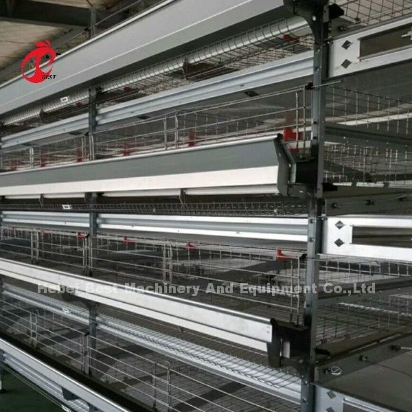 Baterai Otomatis H Tipe Sistem kandang unggas jual panas 240Birds Rose