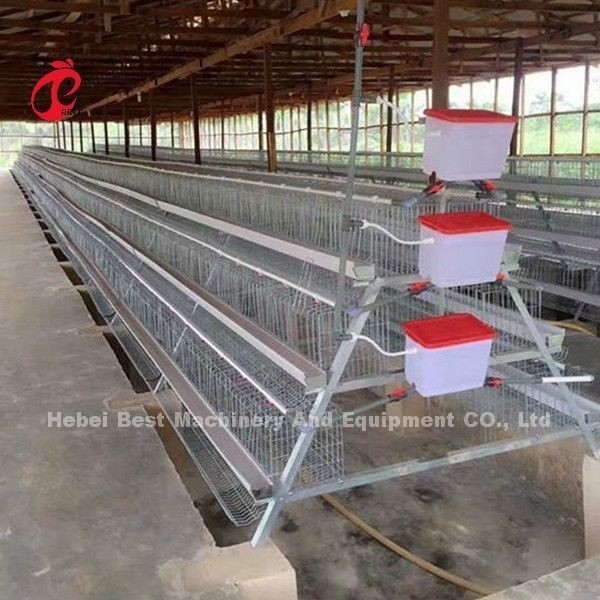 Sistem Kandang Baterai Lapisan Ayam Komersial 2.0m * 2.0m * 1.45m Di Bintang Nigeria