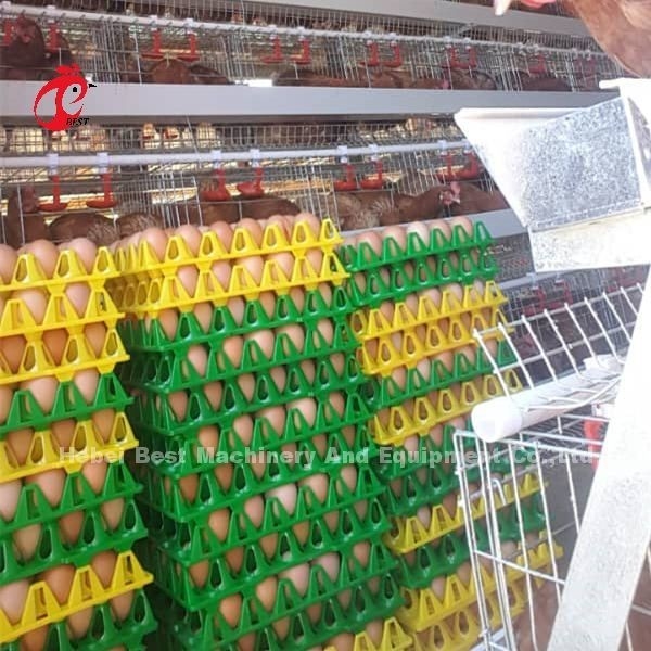 Kandang Lapisan Sistem Kandang Peternakan Unggas Otomatis Populer Kandang Lapisan Telur Berkualitas Tinggi Naik