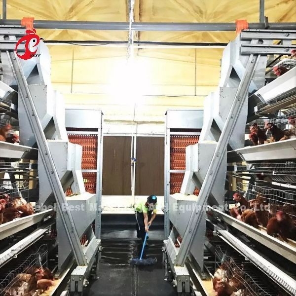 Kandang Baterai Ayam Tipe Lapisan Penuh Otomatis Untuk Peternakan Besar Adela