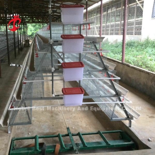 Sistem Kandang Baterai Lapisan Otomatis Kandang Ayam Lapisan Komersial 3 Tingkat Penjualan Panas Rose