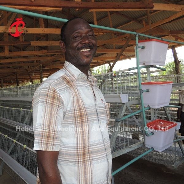 Tipe 4 Tingkat 160 Burung Unggas Ayam Baterai Lapisan Kandang Hot Galvanizing Star